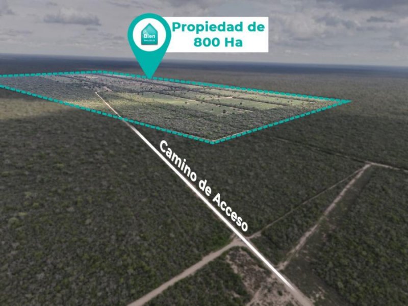 Campo en Venta en  Pailón, Santa Cruz