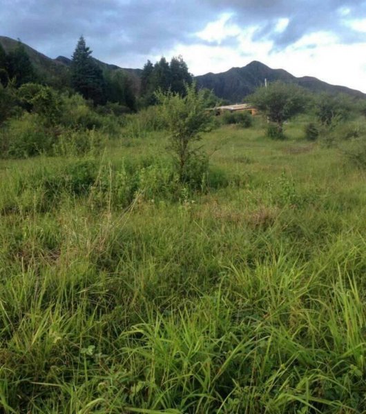 Terreno en Venta en Tarija Tarija, Tarija