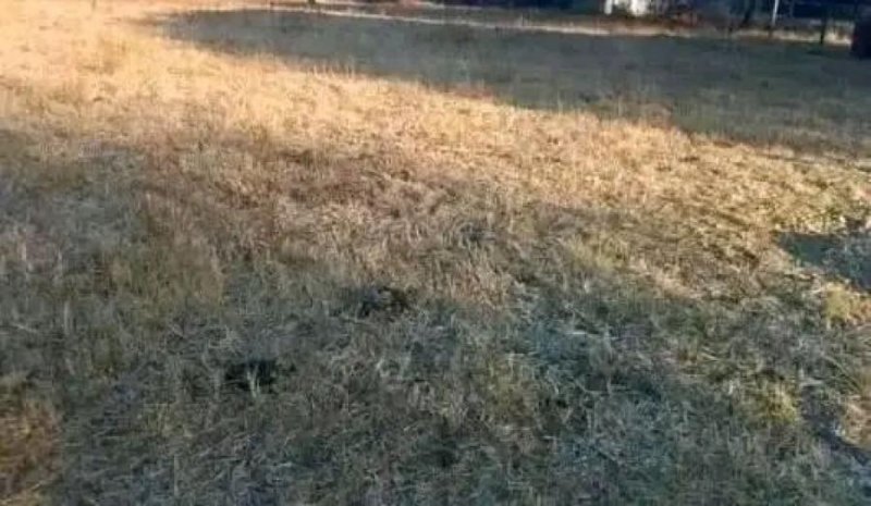 Terreno en Venta en tablada grande Tarija, Tarija