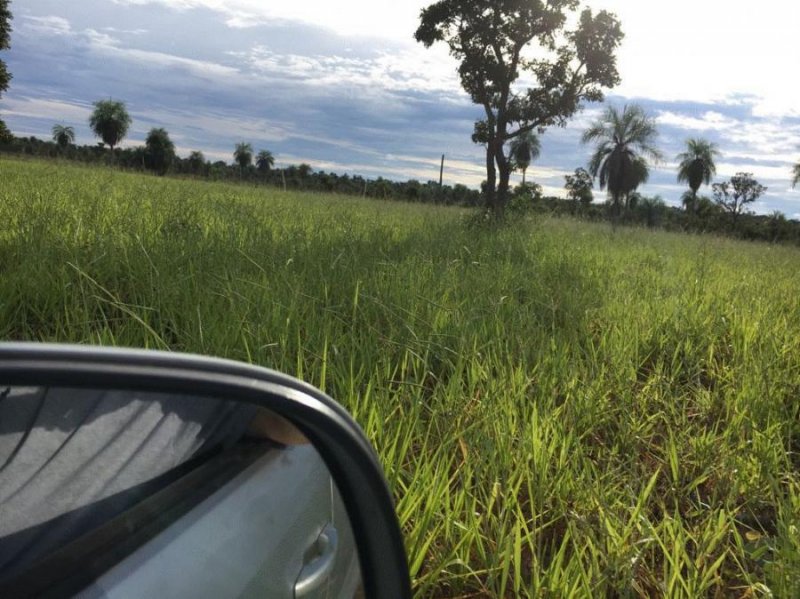 Campo en Venta en  Roboré, Santa Cruz