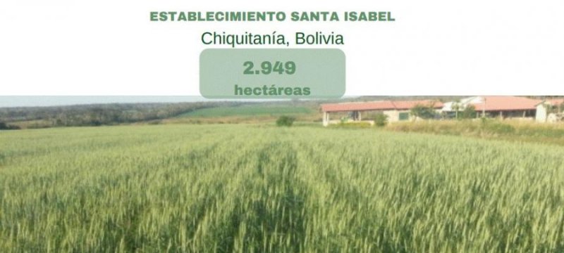 Foto Campo en Venta en San José de Chiquitos, Santa Cruz - 2949 hectareas - U$D 2.800 - CPV4591 - BienesOnLine