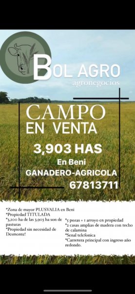 Campo en Venta en  Carmen del Itenez, Beni