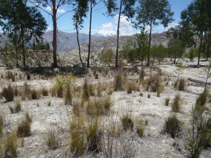 Terreno en Venta en Las Lomas del Sol Kañuma, La Paz
