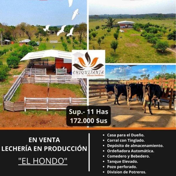 Campo en Venta en  El Hondo, Municipio de Porongo, Santa Cruz