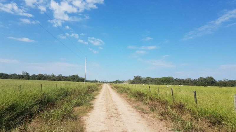 Foto Campo en Venta en Pailón, Santa Cruz - U$D 3.230.000 - CPV4854 - BienesOnLine