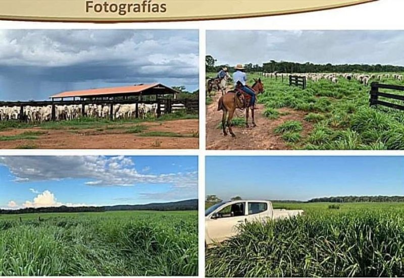 Campo en Venta en  San Rafael de Velasco, Santa Cruz