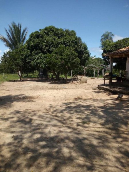 Campo en Venta en  San Ignacio de Velasco, Santa Cruz