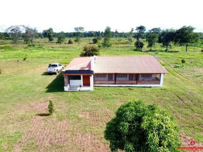 Foto Campo en Venta en Santa Cruz, Santa Cruz - 865 hectareas - U$D 780.000 - CPV4701 - BienesOnLine