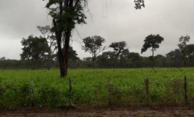 Campo en Venta en  Cabezas, Santa Cruz