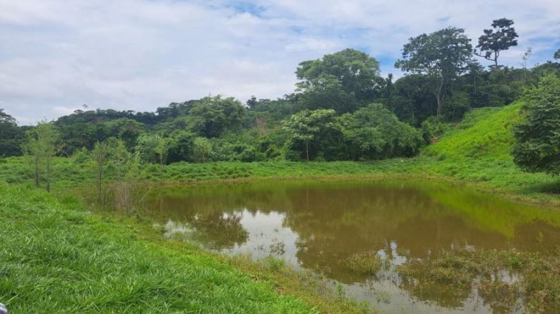 Terreno en Venta en  ESPEJILLOS, Santa Cruz