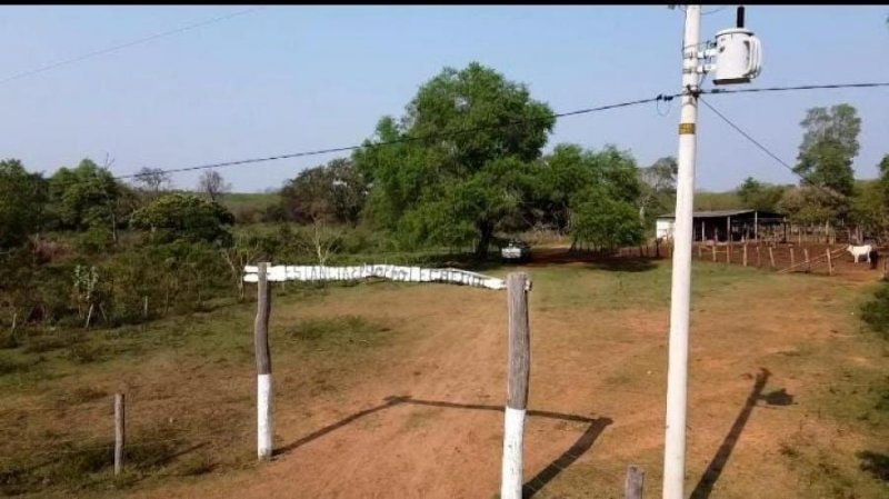 Campo en Venta en Centro Roboré, Santa Cruz