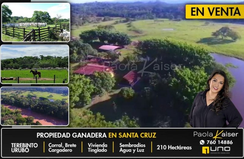 Campo en Venta en urubo Andrés Ibañez, Santa Cruz