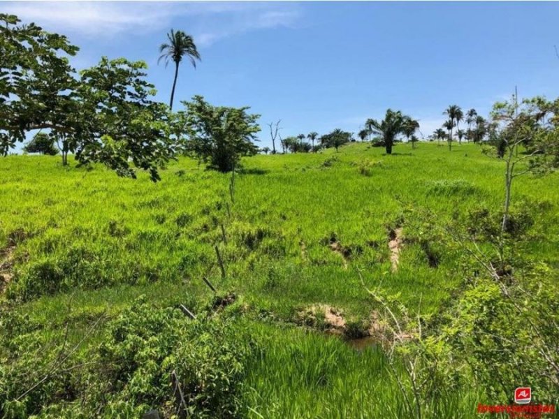 Foto Campo en Venta en ESTE, Santa Cruz, Santa Cruz - U$D 420.000 - CPV4752 - BienesOnLine