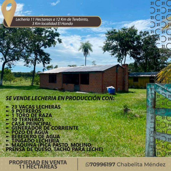Campo en Venta en  Santa Cruz de la Sierra, Santa Cruz