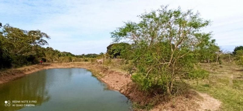 Quinta en Venta en Santa rosa Rincón de palometas, Santa Cruz