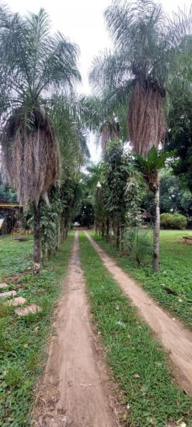 Quinta en Venta en  Santa Cruz de la Sierra, Santa Cruz