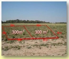 Terreno en Venta en  Warnes, Santa Cruz