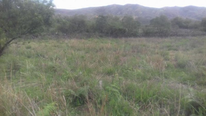 Terreno en Venta en Antigal Aviles, Tarija