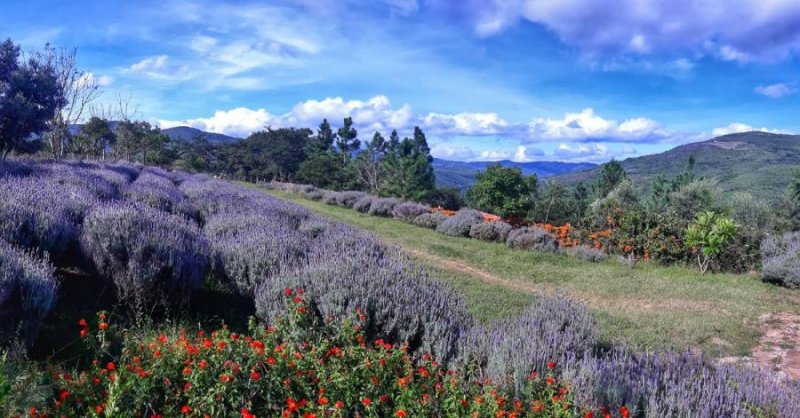 Terreno en Venta en Soto Pollerudo Samaipata, Santa Cruz