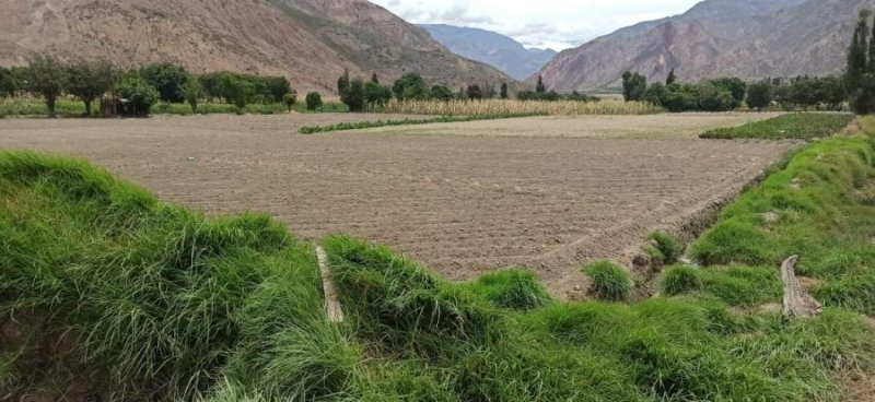 Terreno en Venta en  RIO ABAJO, La Paz