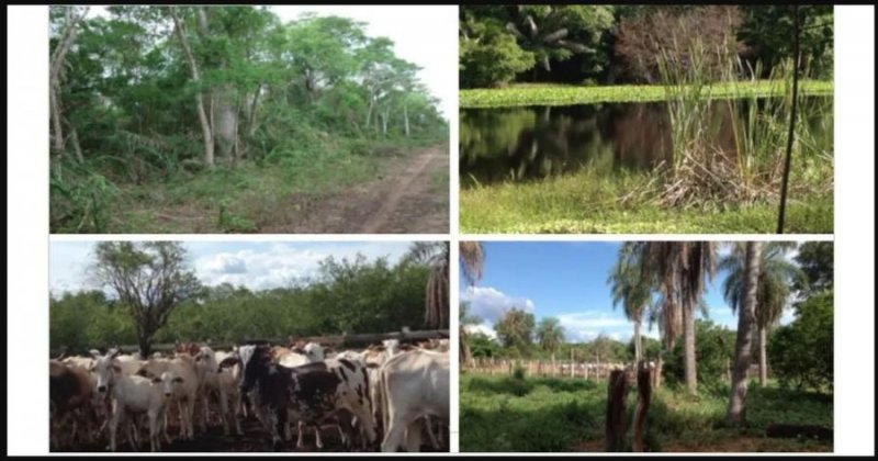 Campo en Venta en  Roboré, Santa Cruz