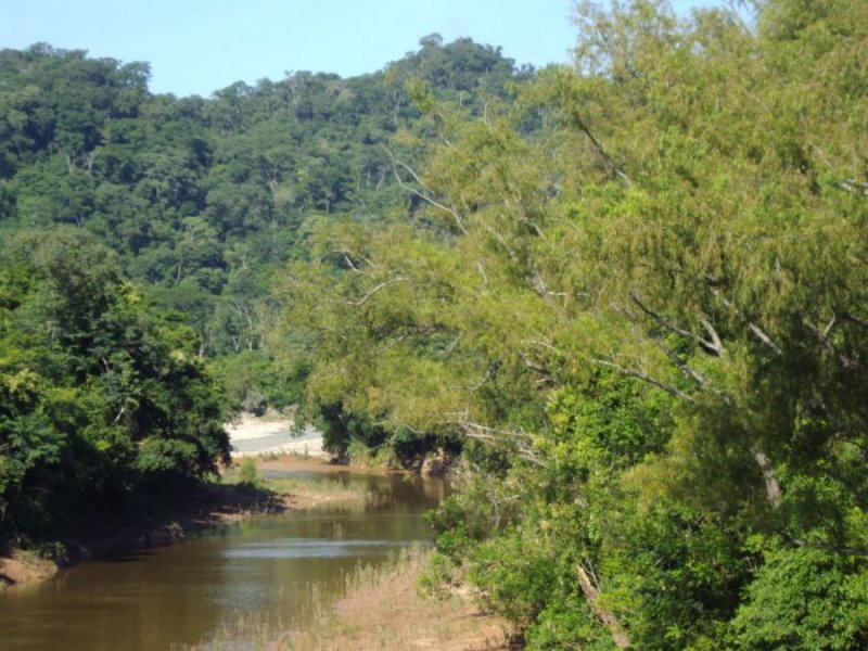 Campo en Venta en  ARGENTINA-SALTA LOS TOLDOS, Tarija