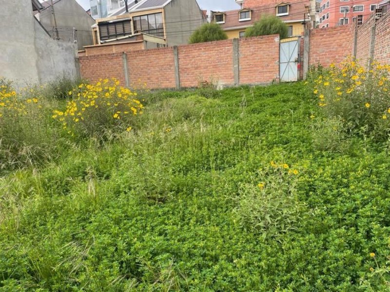Terreno en Venta en ACHUMANI La Paz, La Paz